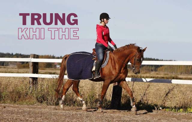 Mơ thấy đang cưỡi ngựa cho thấy sức khỏe của bạn đang tốt