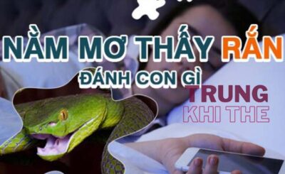 Nằm mơ thấy rắn đánh con gì?