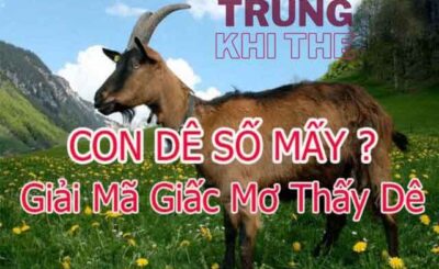 Mơ thấy dê đánh con gì dễ trúng?