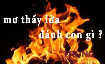 Mơ thấy lửa đánh con gì?