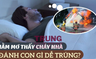 Nằm mơ cháy nhà đánh con gì?